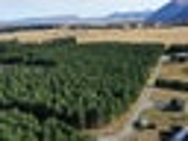 Land for sale in Canterbury