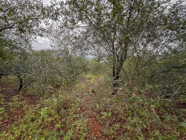 Property for sale in Ehlanzeni, Mpumalanga