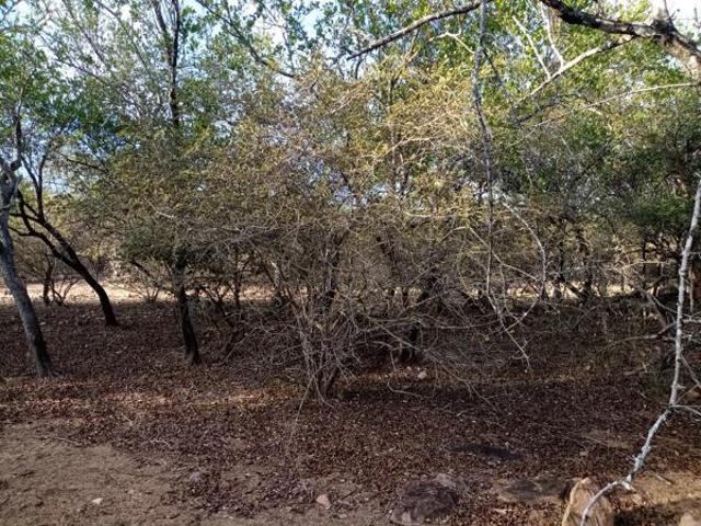 Property for sale in Ehlanzeni, Mpumalanga