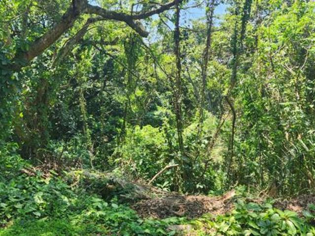 Property for sale in Ugu District Municipality, Kwazulu-natal
