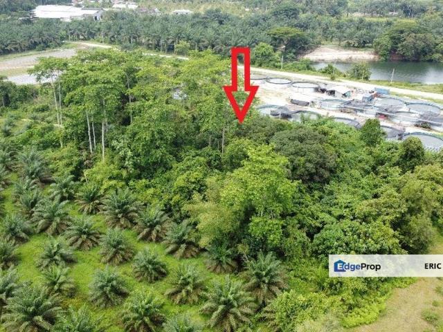 Shop for sale in Perak, Kampar