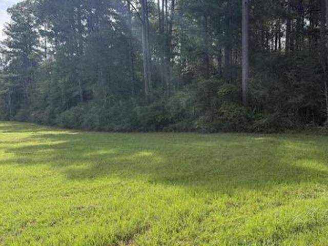 Land for sale in Sumrall, Mississippi
