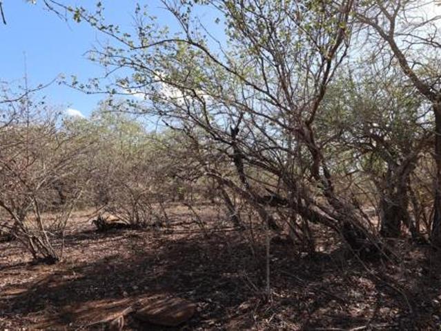 Property for sale in Ehlanzeni, Mpumalanga