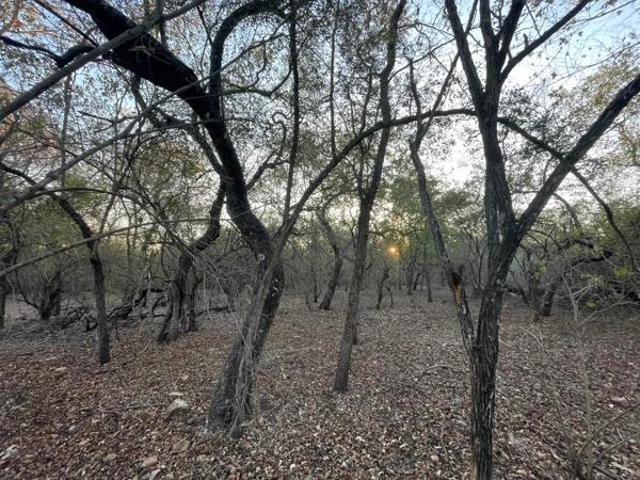 Property for sale in Ehlanzeni, Mpumalanga