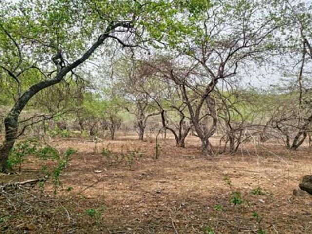Property for sale in Ehlanzeni, Mpumalanga