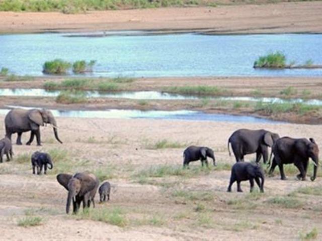 Property for sale in Komatipoort, Nkomazi