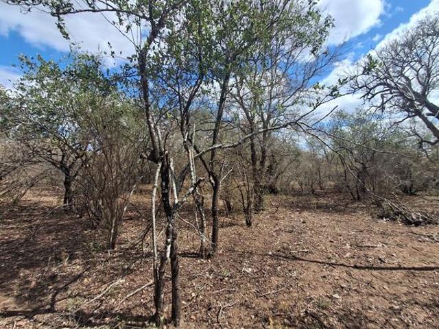 Property for sale in Ehlanzeni, Mpumalanga