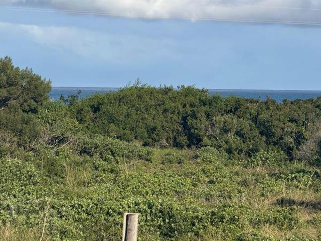 Property for sale in Bushmans River Mouth, Eastern Cape