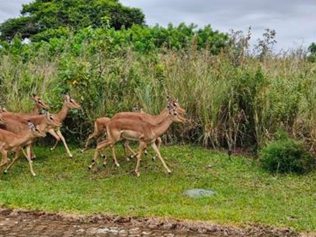 Property for sale in Ugu District Municipality, Kwazulu-natal