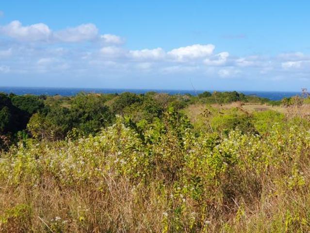 Property for sale in Ugu District Municipality, Kwazulu-natal