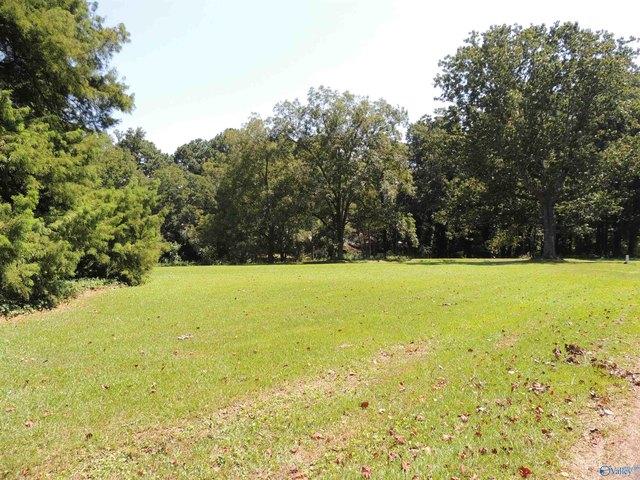 Land for sale in Crossville, Alabama