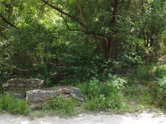 Land for sale in Wills Point, Texas