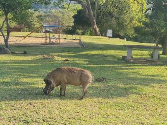 Land for sale in Ehlanzeni, Mpumalanga