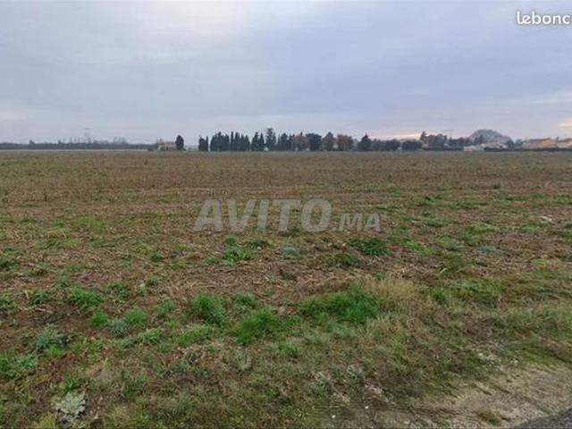 Propriété vente à Ben Ahmed, Gharb-Chrarda-Beni Hssen