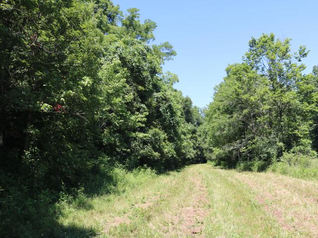 Farm for sale in Carlisle, Kentucky