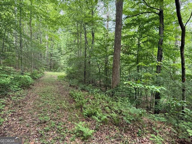 Land for sale in Blairsville, Georgia