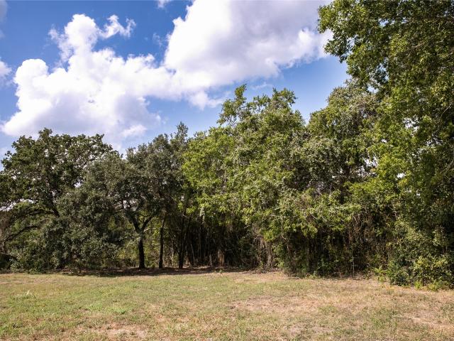 Land for sale in Burton, Texas