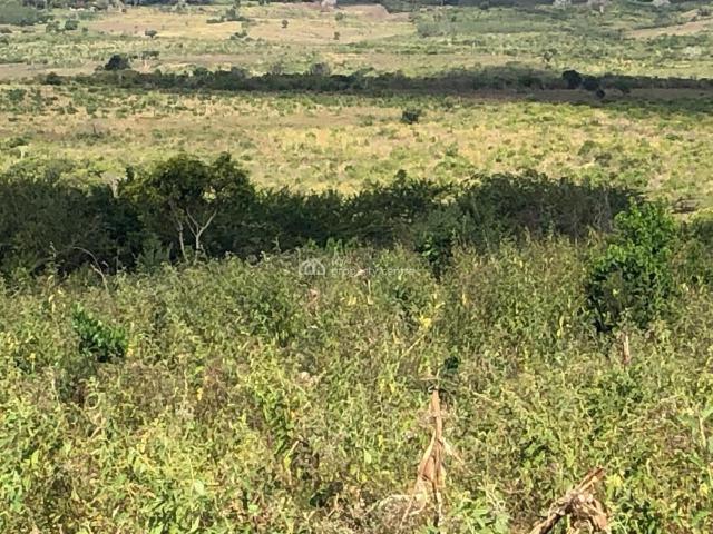 Land for sale in Kilifi