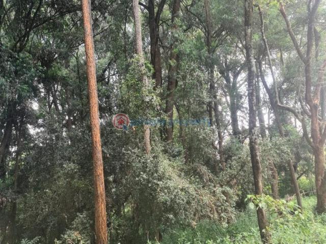 Land for sale in Karen, Kiambu