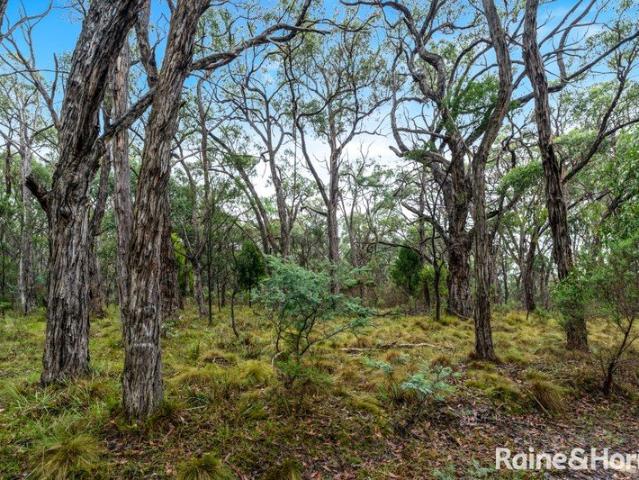 Land for sale in Riddells Creek, Victoria
