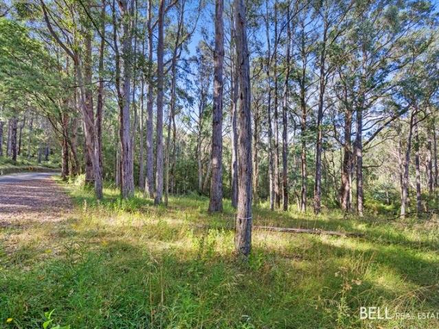 Land for sale in Camerons Creek, Victoria