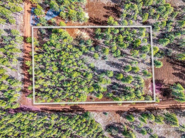 Land for sale in Navajo, Arizona