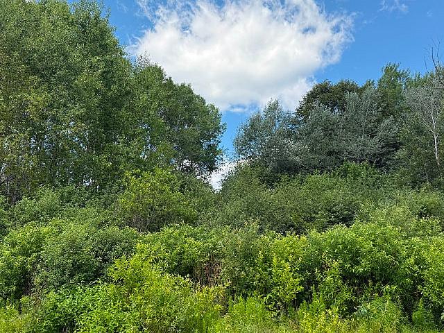 Land for sale in Northwest, Alberta