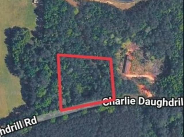 Land for sale in Carriere, Mississippi