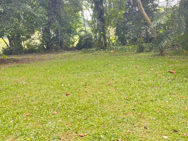 Property for rent in Country Heights Damansara, Kuala Lumpur
