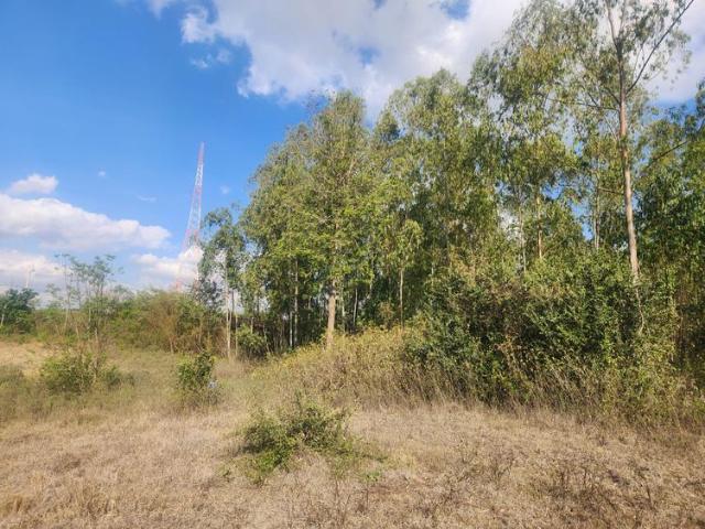 Land for sale in Ngong, Kajiado