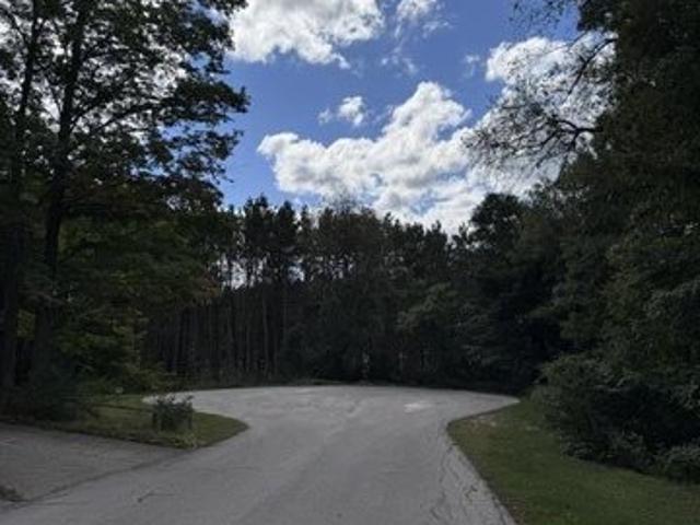 Land for sale in Reed City, Osceola County
