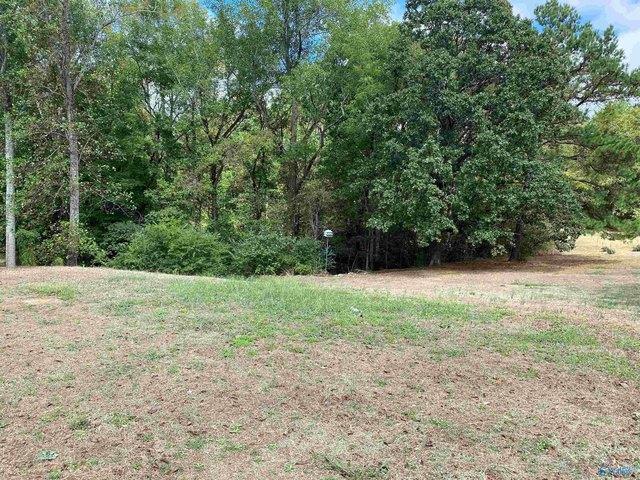 Land for sale in Somerville, Alabama