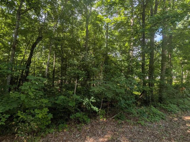 Land for sale in Gurley, Alabama