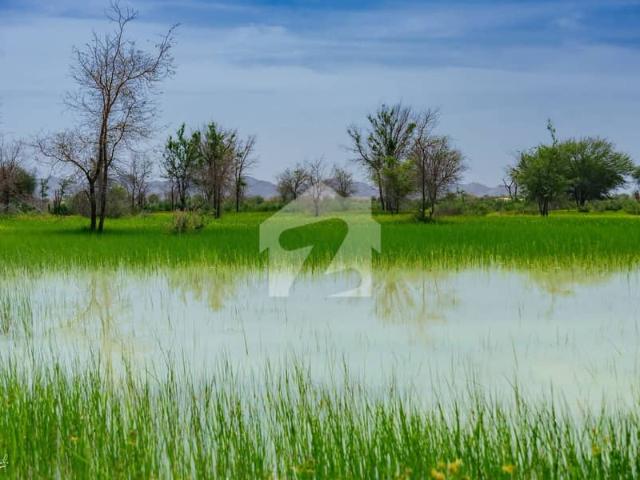 Land for sale in گوادر, مکران ڈویژن