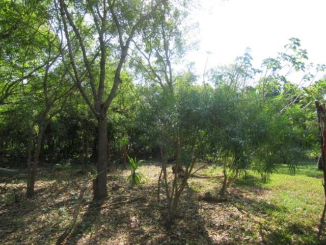 Land for sale in Kwale, Diani
