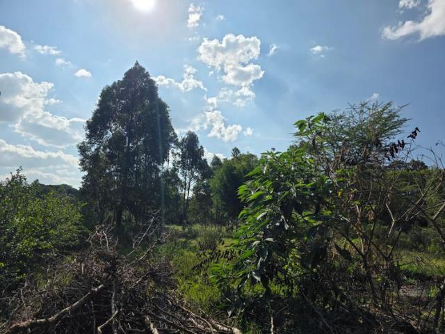Land for sale in Karen, Nairobi