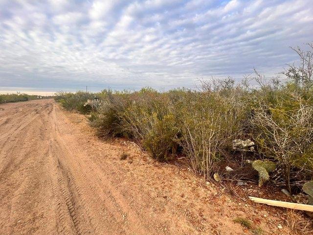 Land for sale in Laredo, Texas