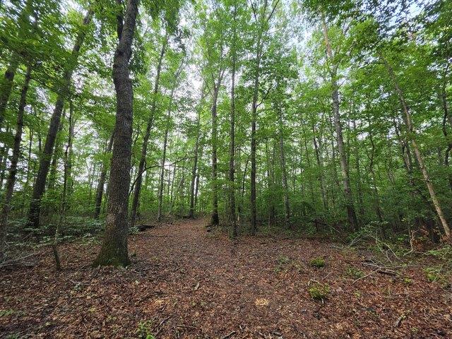 Land for sale in Tennessee
