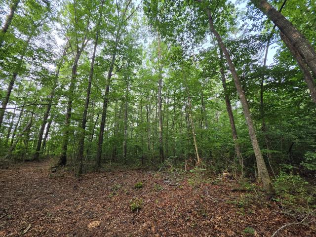 Land for sale in Tennessee