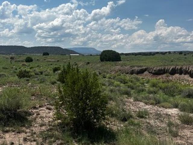 Land for sale in Catron, New Mexico