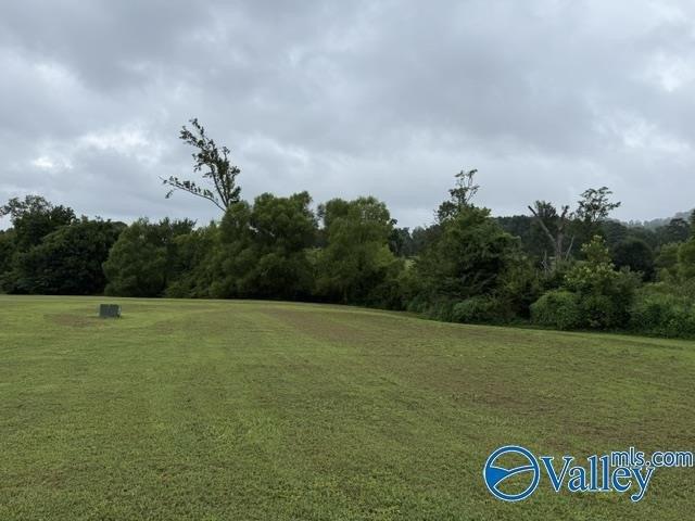 Land for sale in Guntersville, Alabama