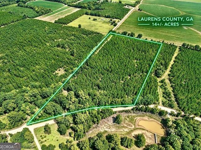 Land for sale in Dexter, Laurens County