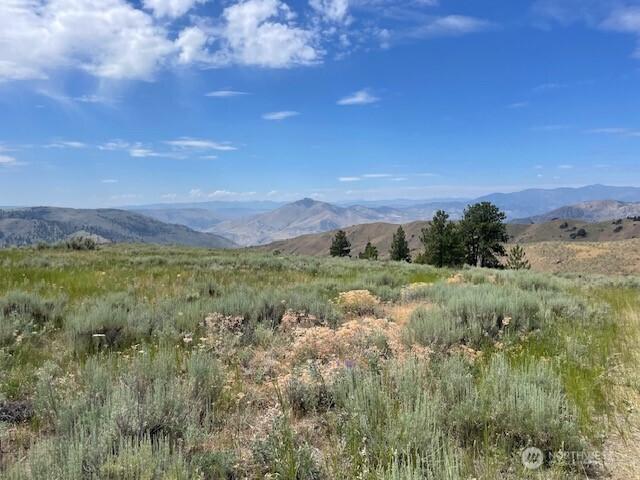 Land for sale in Washington