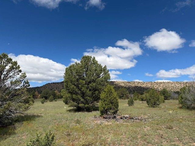Land for sale in Datil, Catron County
