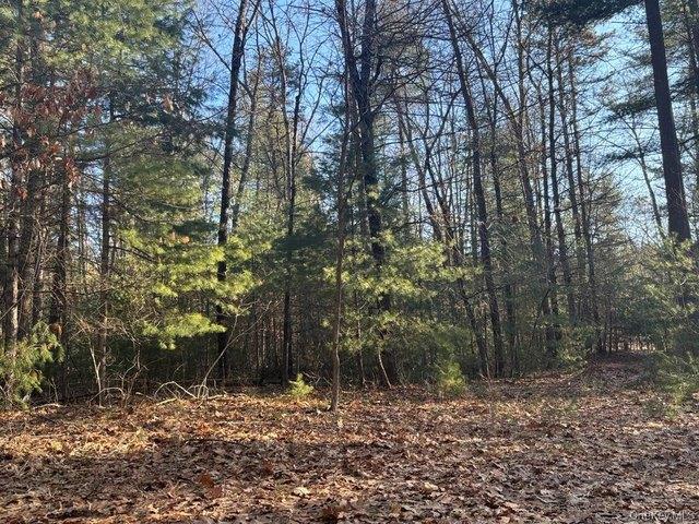 Land for sale in Godeffroy, New York
