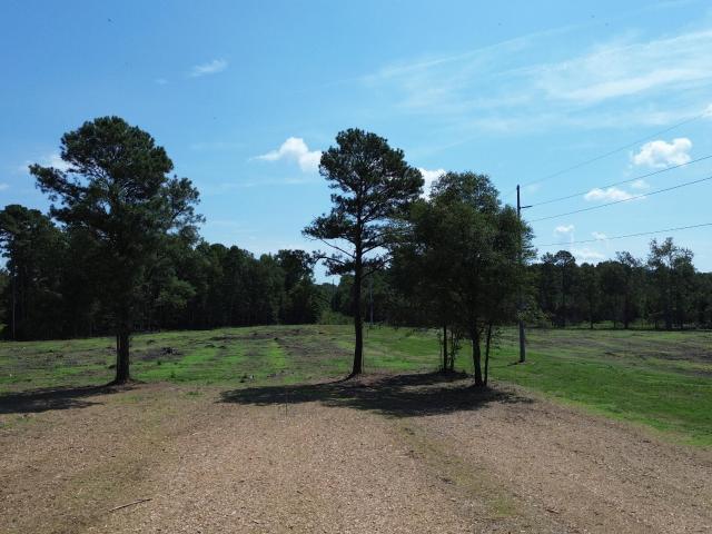 Land for sale in Vance, South Carolina
