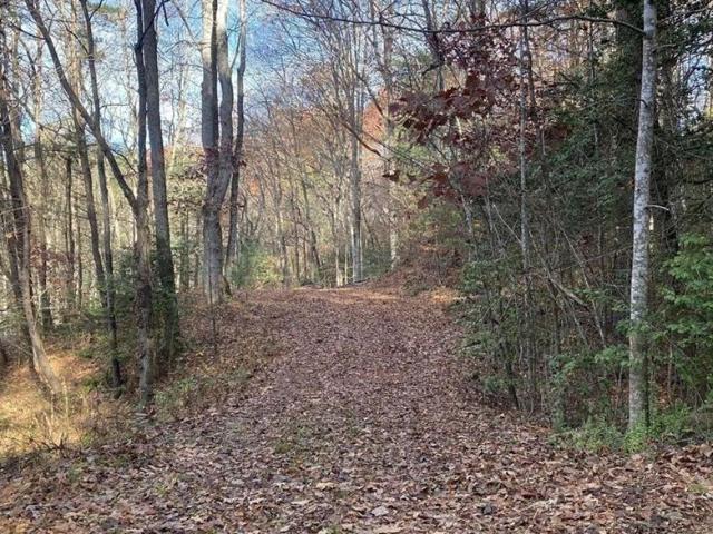 Land for sale in Hiawassee, Georgia