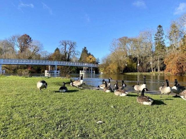Flat for sale in Pangbourne, West Berkshire