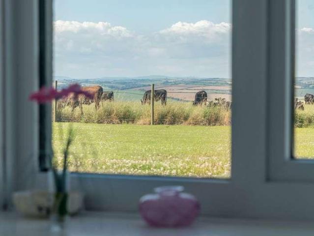 Flat for sale in East Prawle, Strode