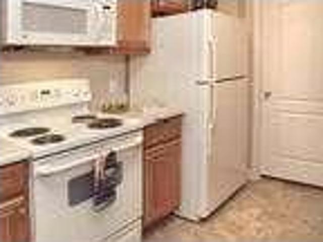 House for rent in Orange City, Iowa